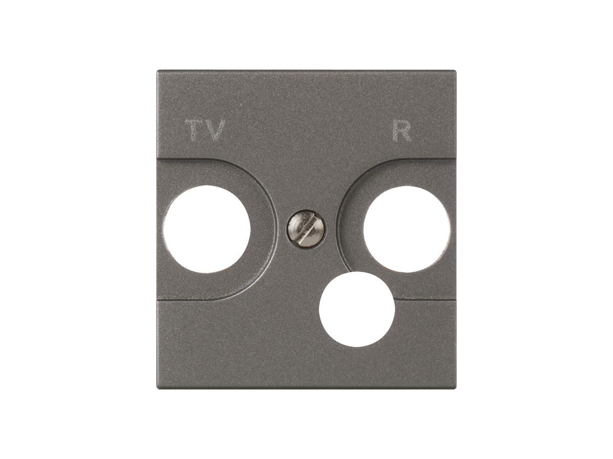 Frontplatte MOS TV/FM magnesium 2 Module