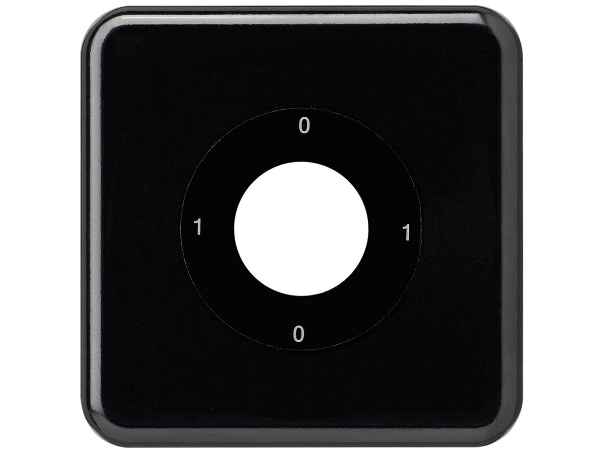 UP-Frontset für Schlüsselschalter basico S0 schwarz 86×86mm