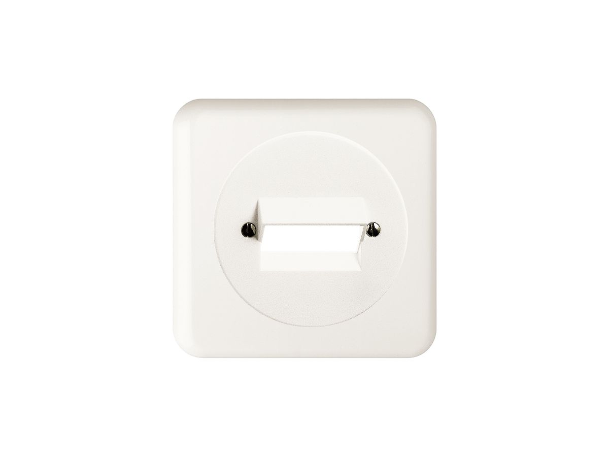 UP-Frontset FH 2×RJ45 weiss ITplus