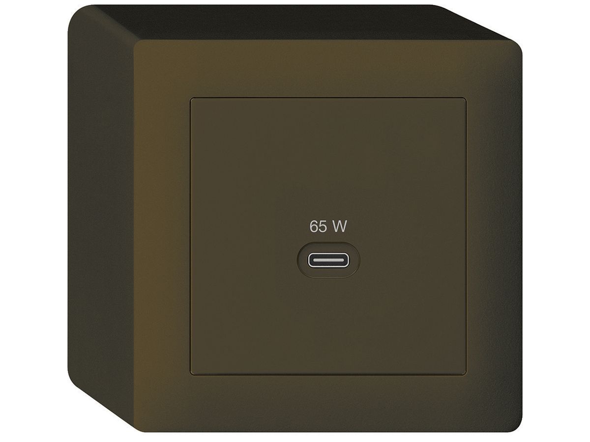 AP-USB-Ladesteckdose Hager kallysto Typ C 65W 3250mA braun