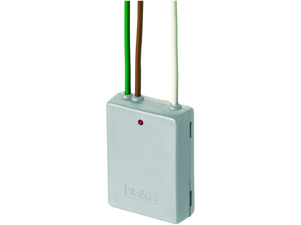 RF-Sender Yokis 2-Kanal 2.4GHz