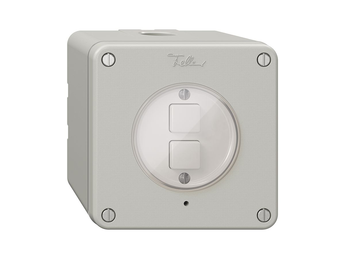 NAP-KNX-Taster 2× NEVO RGB mit Temperaturfühler, lichtgrau