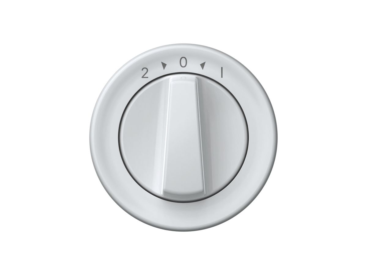 Schwenktaster origin 1P 0<1 10A 230V 60×60mm weiss