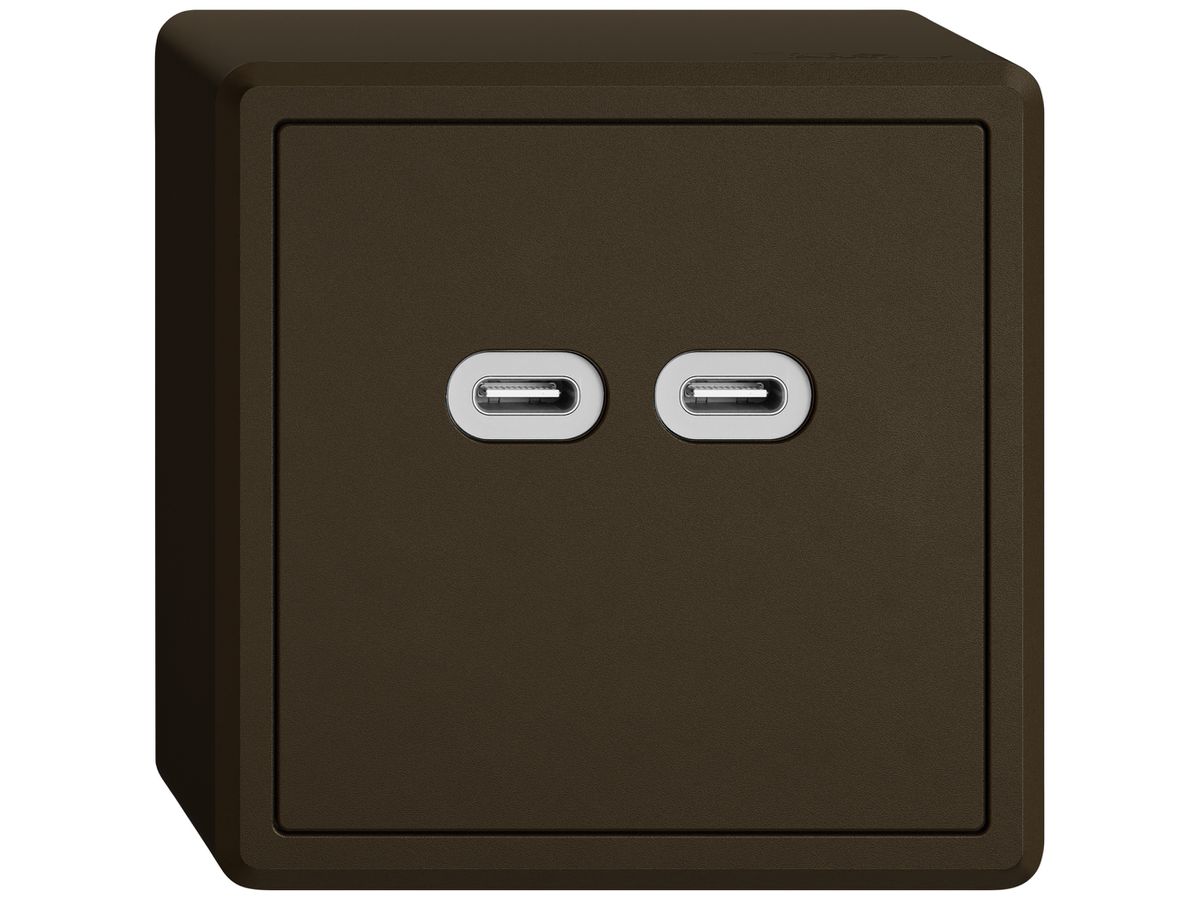 AP-USB-Ladesteckdose EDIZIO.liv SNAPFIX® 230VAC 18W 2×USB Typ C br