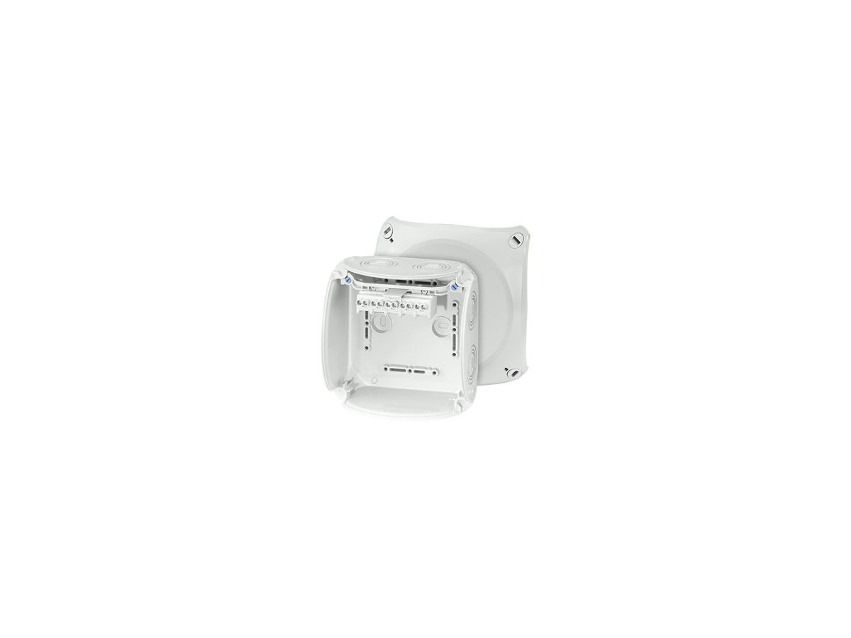 AP-Abzweigdose Hensel KF G mit Klemmen 5×4mm² grau
