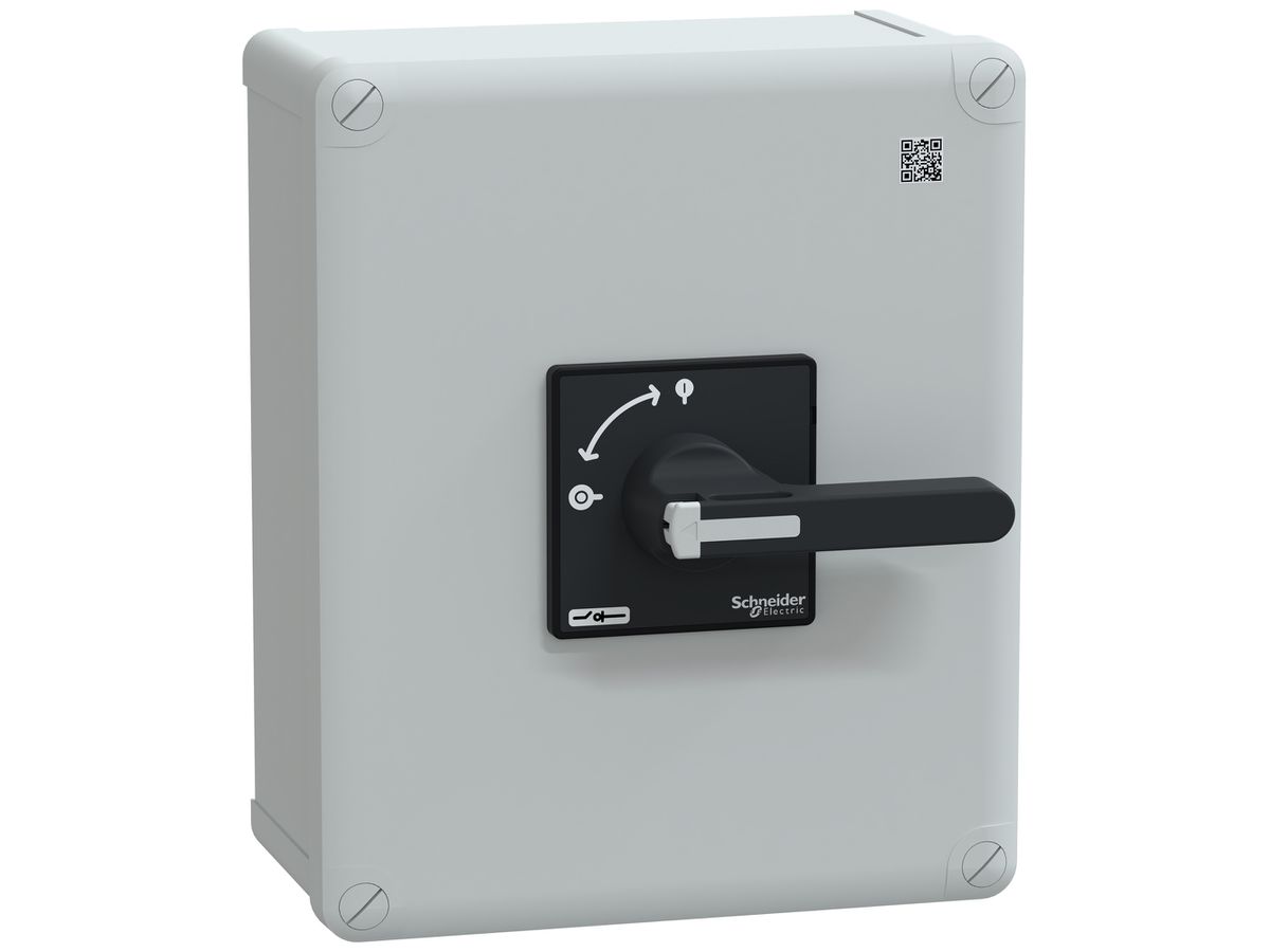 AP-Anlageschalter Schneider Electric Vario 100A 4P schwarz N-vorauseilend IP65