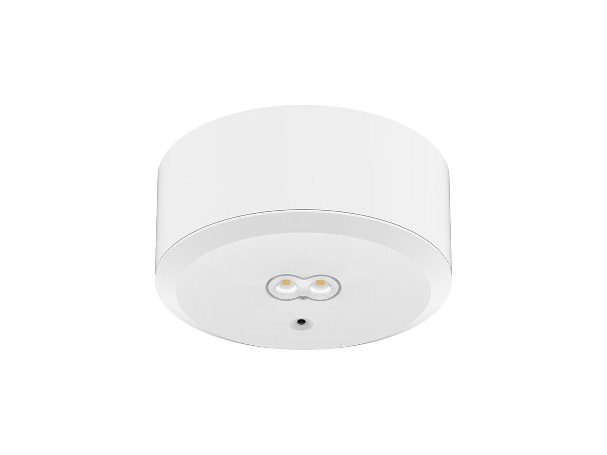 AP-LED Sicherheitsleuchte DOTLUX EXITtop Ø140mm 8h weiss
