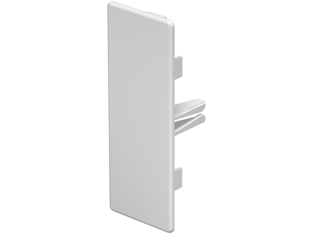 Abschlussplatte Bettermann zu Installationskanal WDK reinweiss 40×110mm