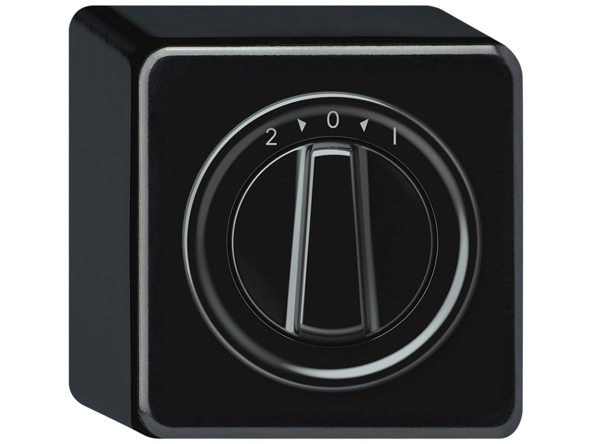 AP-Schwenktaster origin 1P 0<1 10A 230V 88×88×54mm schwarz
