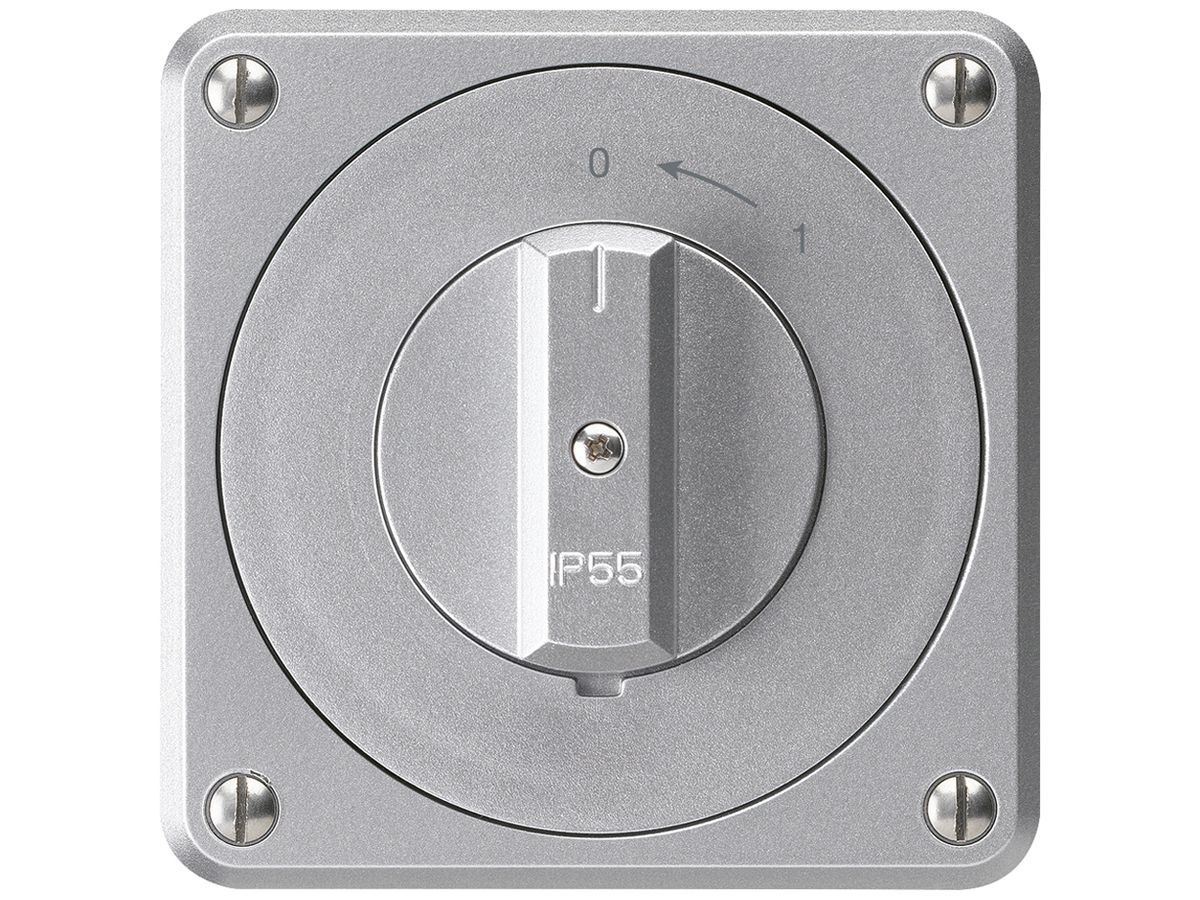 UP-Schwenktaster robusto IP55 aluminium 2P