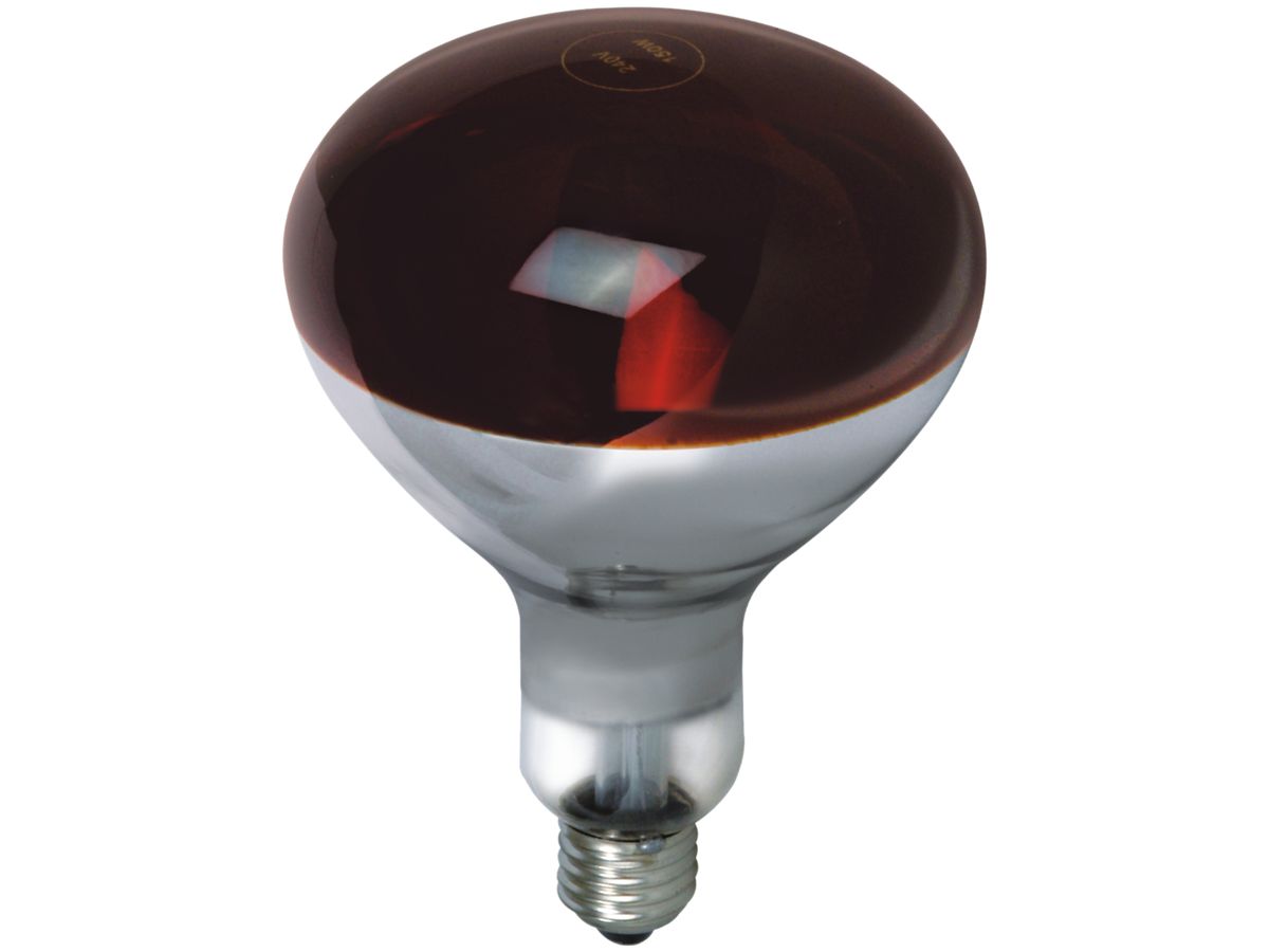 IR-Lampe R63 Reptistar E27 50W 230V - Elektrogrosshandel