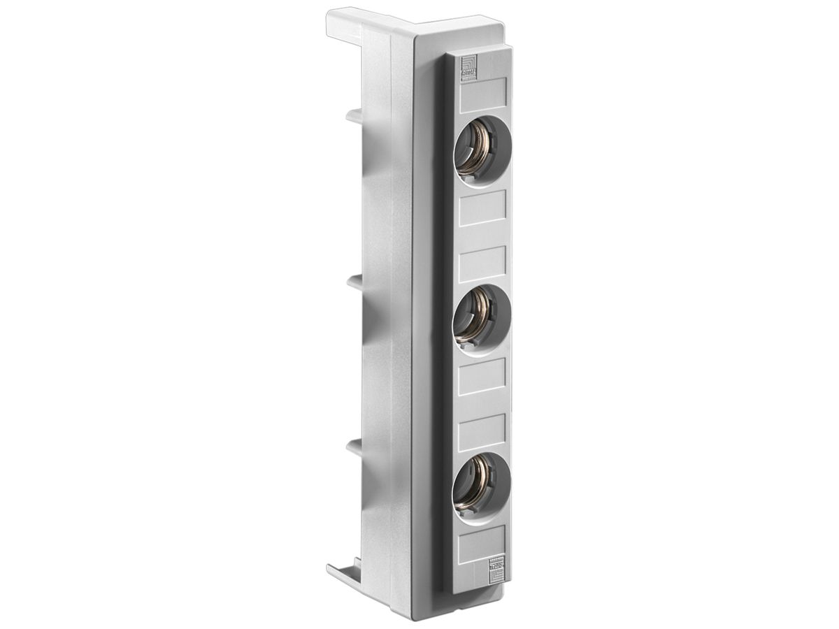 Abdeckung Rittal SV 3418.030 für DII 3P 10Stk