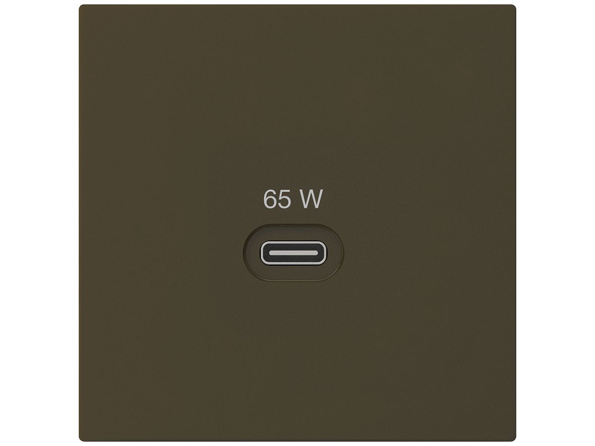 USB-Ladesteckdose Hager kallysto Typ C 65W 3250mA braun