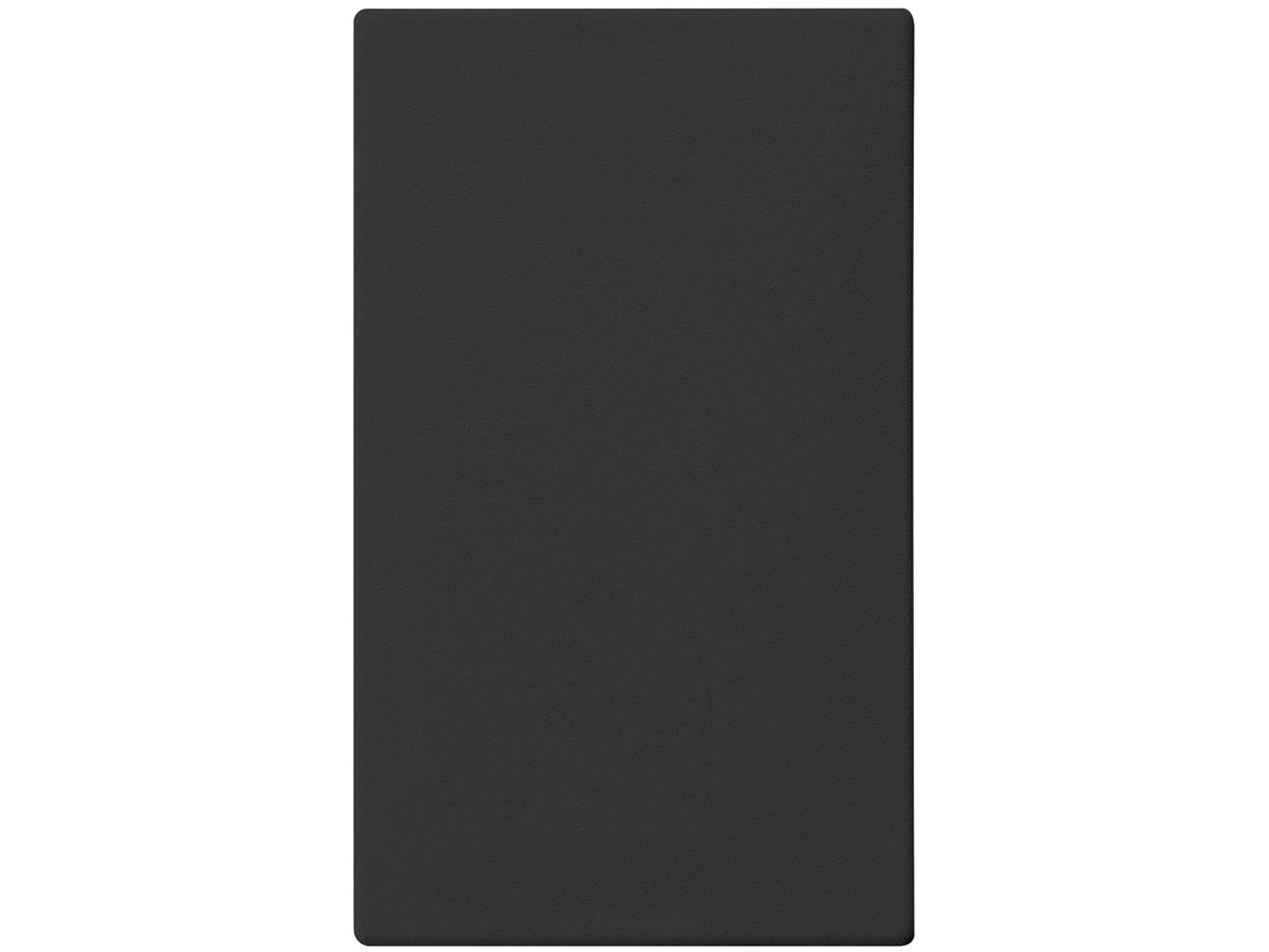 Blinddeckplatte FH FLF 37×62 schwarz