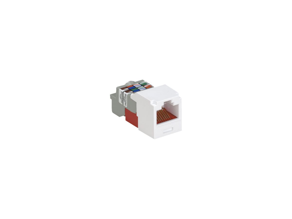 Buchse Panduit-Net RJ45 Mini-Com grün