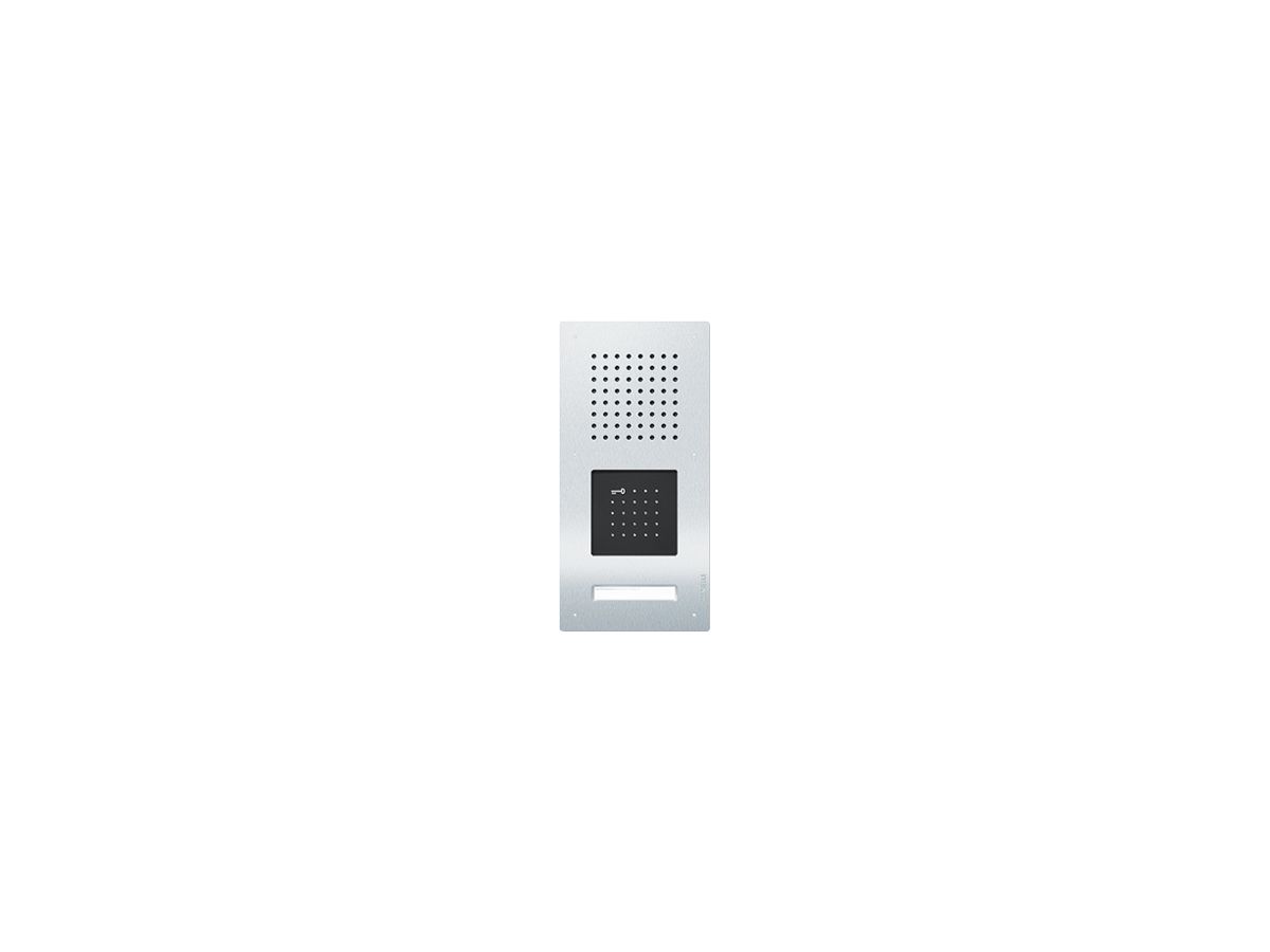 Aussenstation Audio Siedle Classic Bus 1 12VAC 356×171×65mm Key-Leser IP54