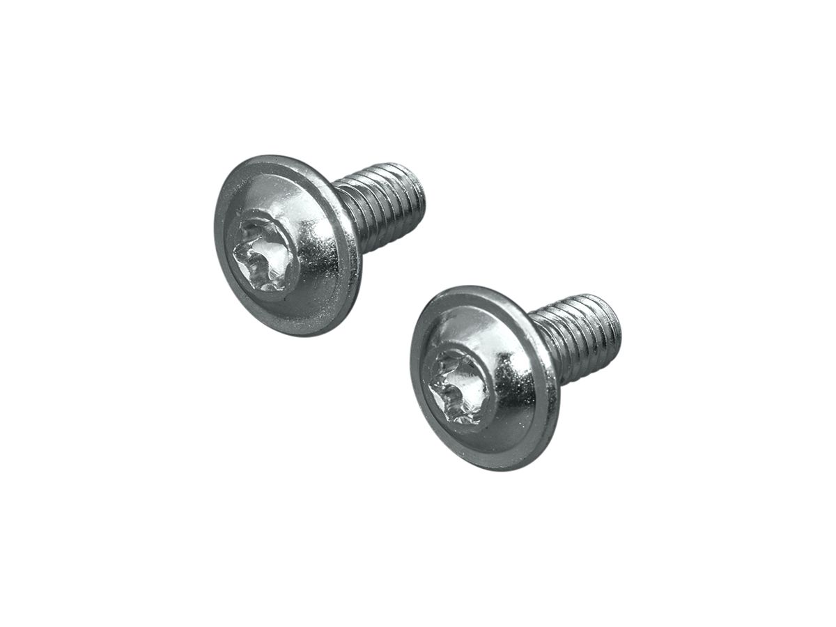 Schraube Rittal SZ 2504.500 12mm TX M6 Halbrundkopf 300Stk