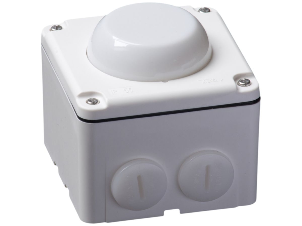 Blitzleuchte Hugentobler Typ 18 NAP 230VAC opal