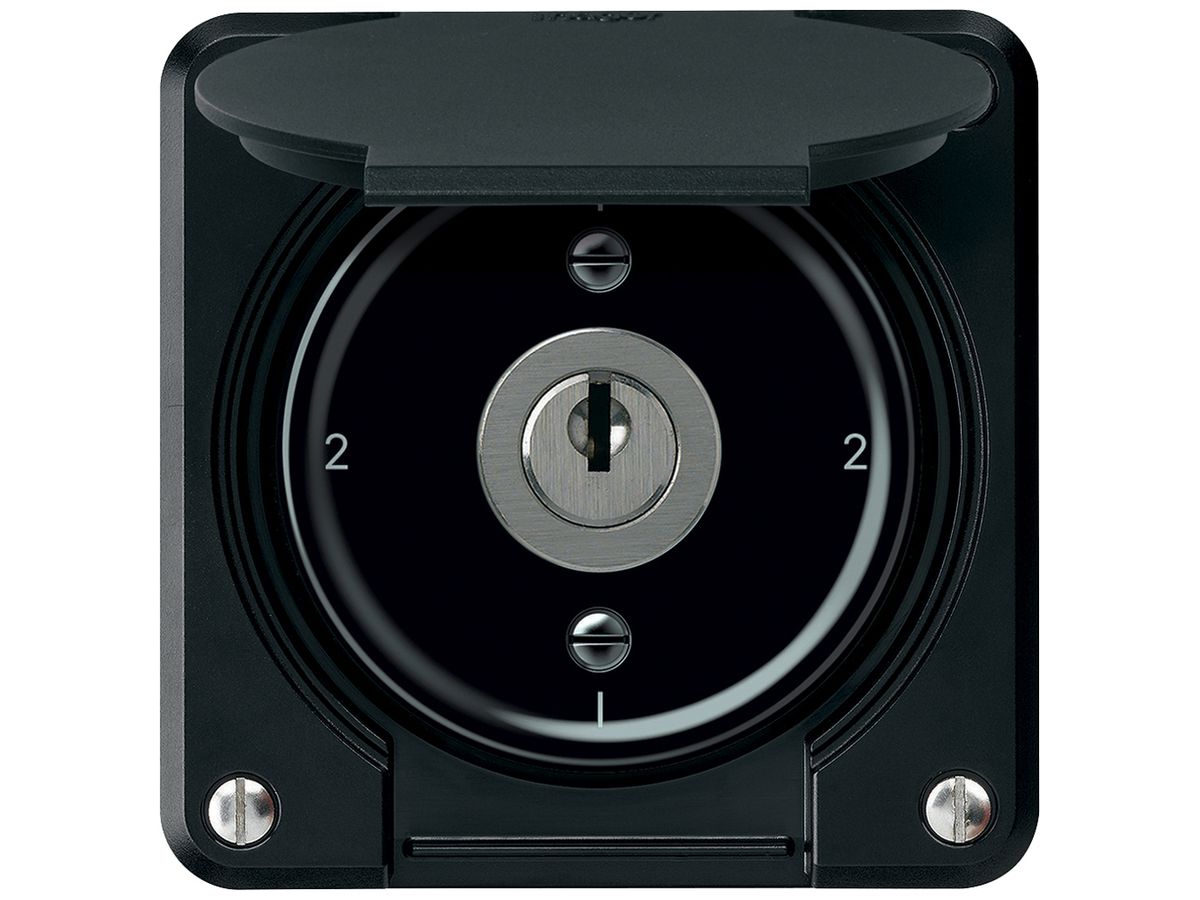 UP-Schlüsselschalter robusto Wechselschalter 16A 250V 86×86mm schwarz