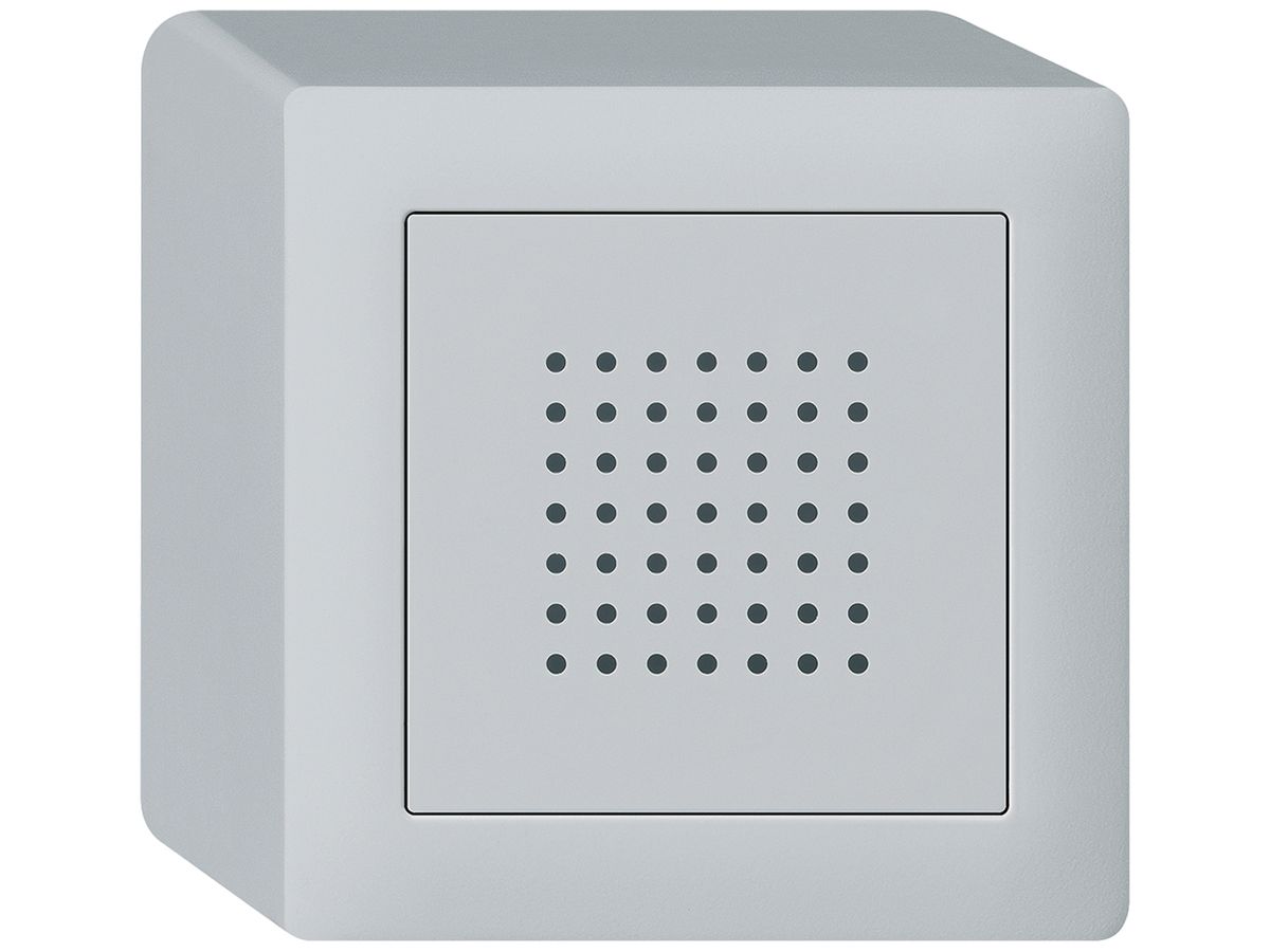 AP-Türgong kallysto 12V hellgrau