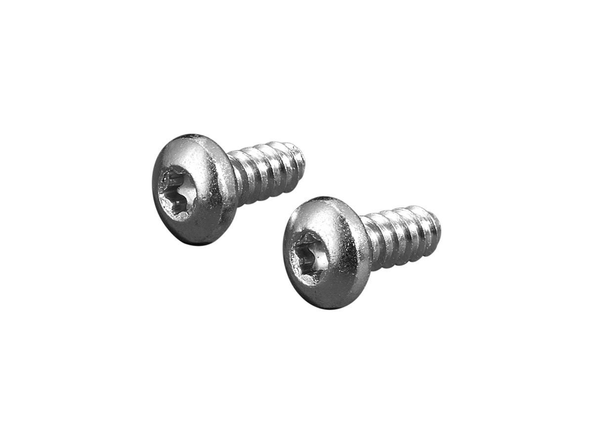 Schraube Rittal SZ 2486.400 13mm TX M5 Halbrundkopf 300Stk