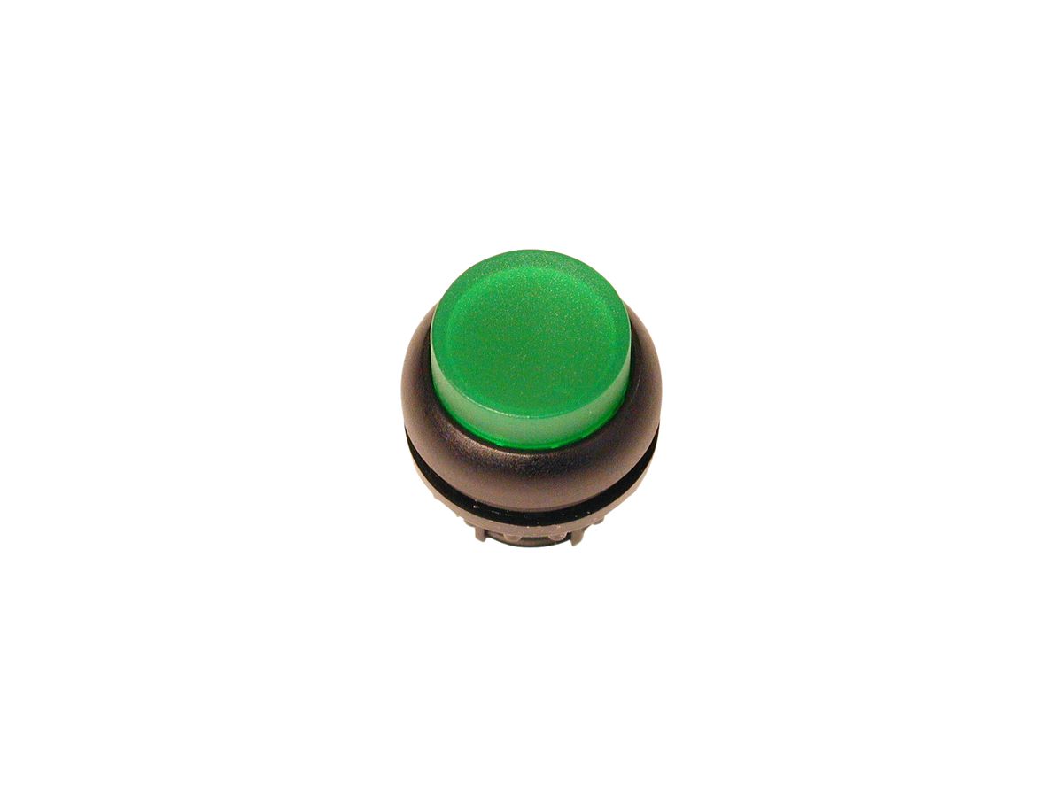 Leucht-Drucktaste ETN RMQ hoch grün, rastend, Ring schwarz
