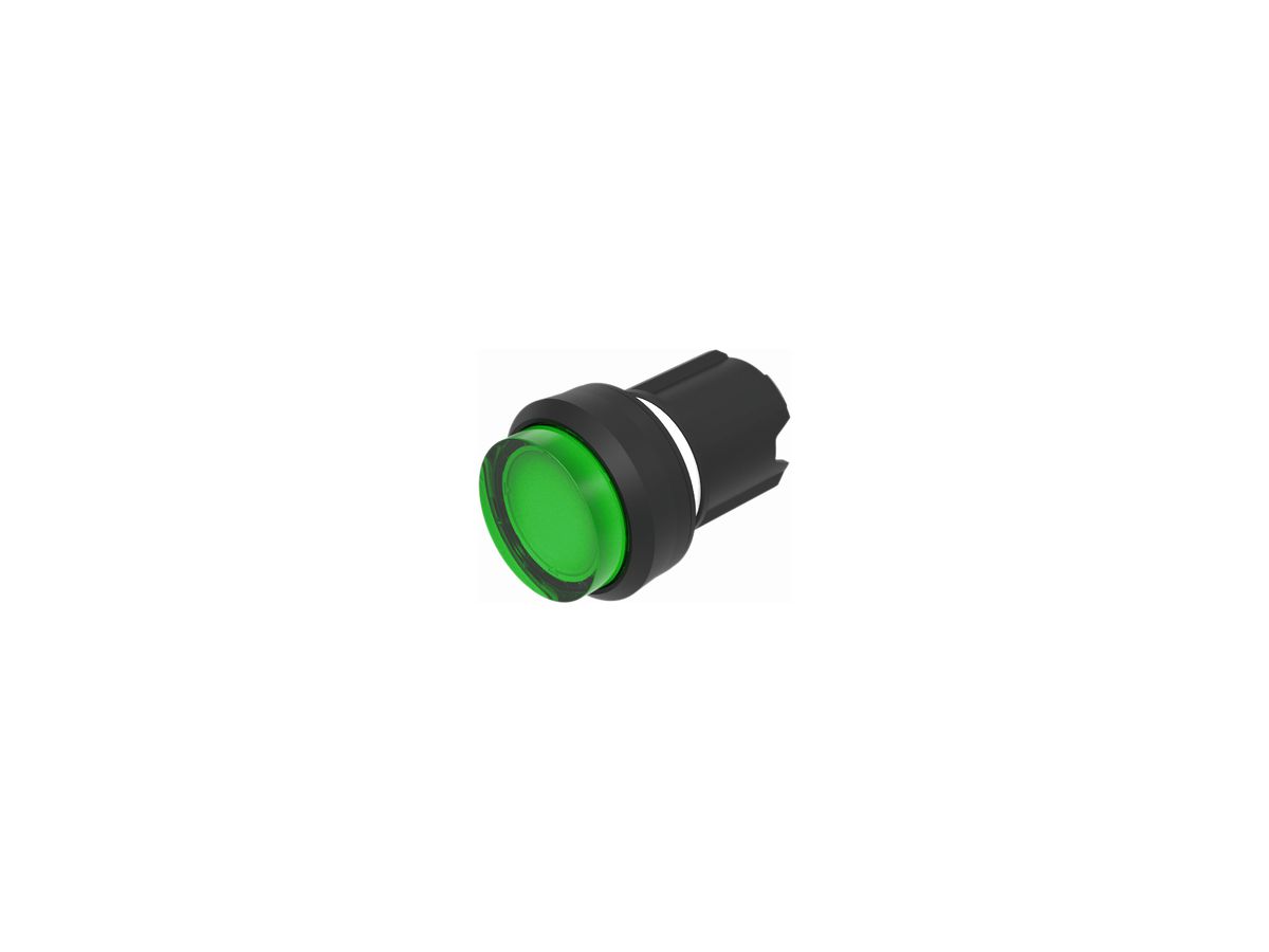 EB-Drucktaster EAO45, I, grün beleuchtbar, Ring schwarz erh.