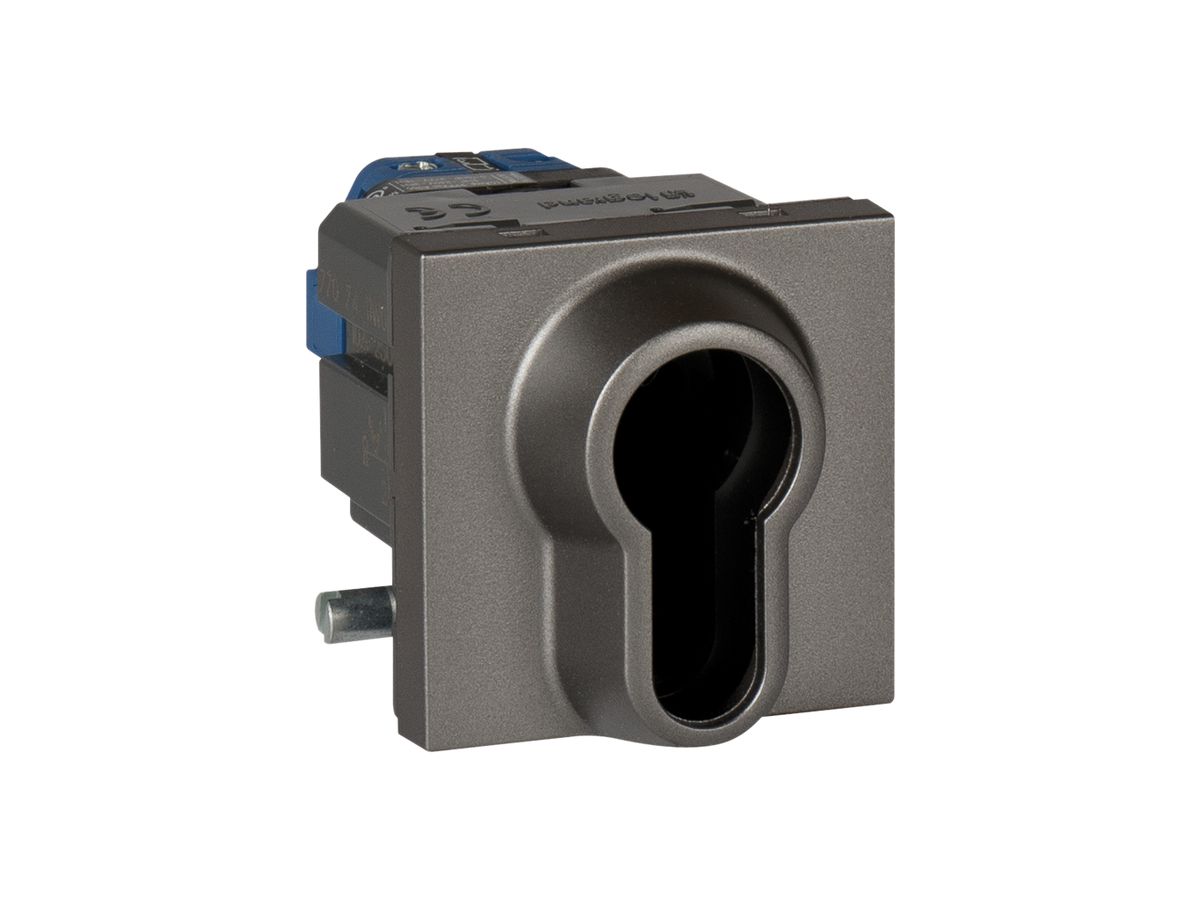 EB-Schwenktaster MOS A+R ss/EUR magnesium 2 Module I-0-II