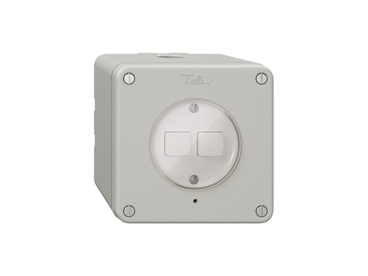 AP-Druckschalter NEVO Wiser m.Nebenstelle 2T 2B lichtgrau