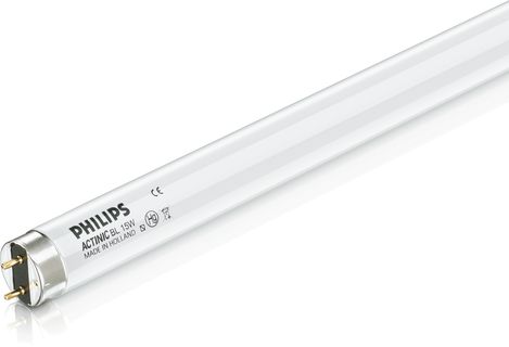 590 mm