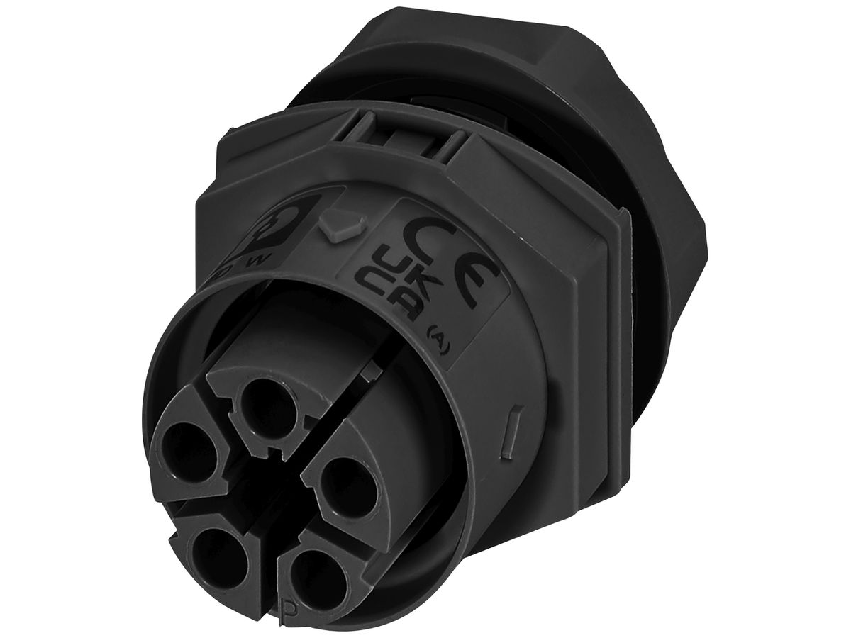 Wanddurchführung PX IPD W Buchse 5P 17.5A 600V M25 sz IP66 Kodierung P