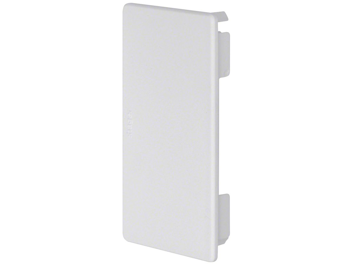 Endstück Hager tehalit.FB 110×60mm grau IP30
