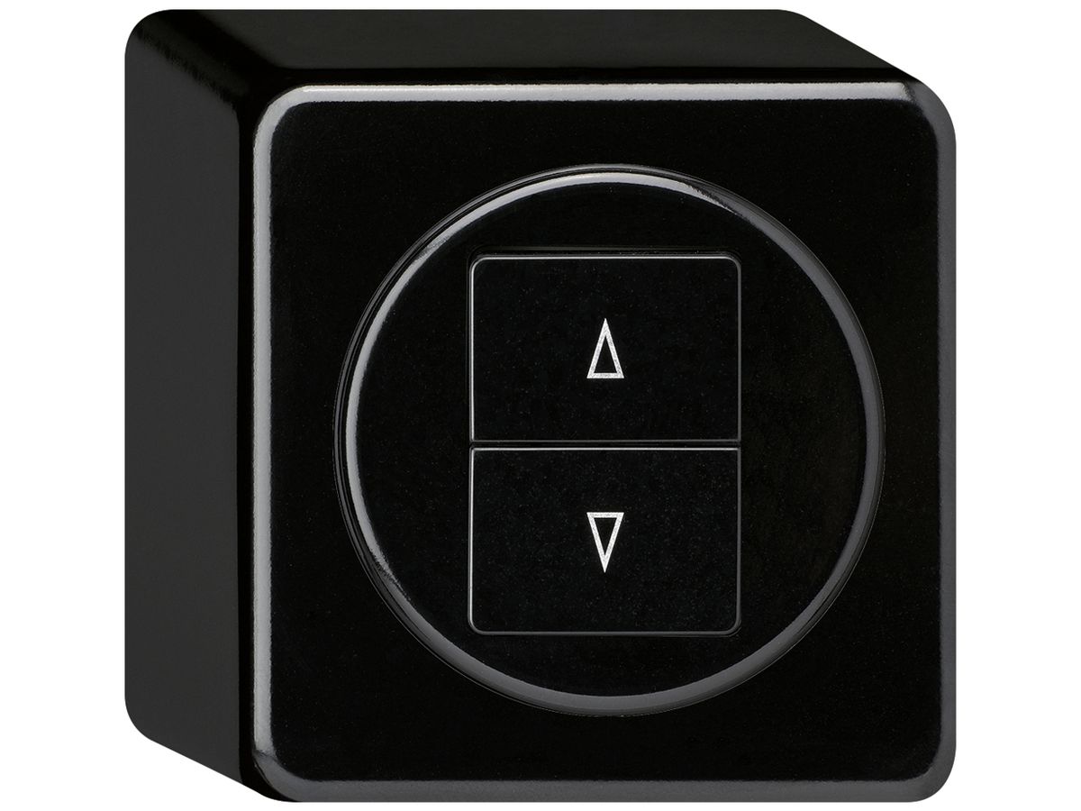 AP-Storentaster basico schwarz mit 2 Funktionstasten Steckklemme