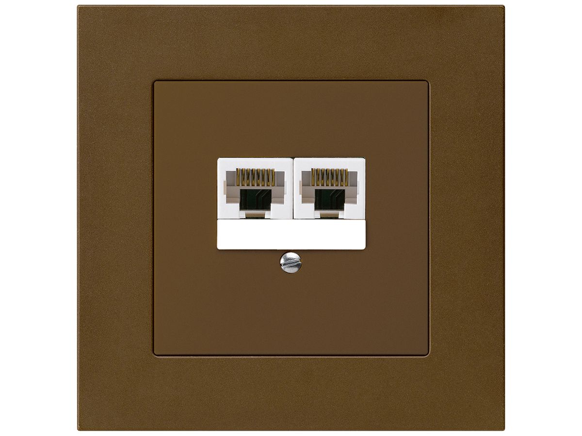 UP-Dose kallysto.pro 2×RJ45u parallel braun