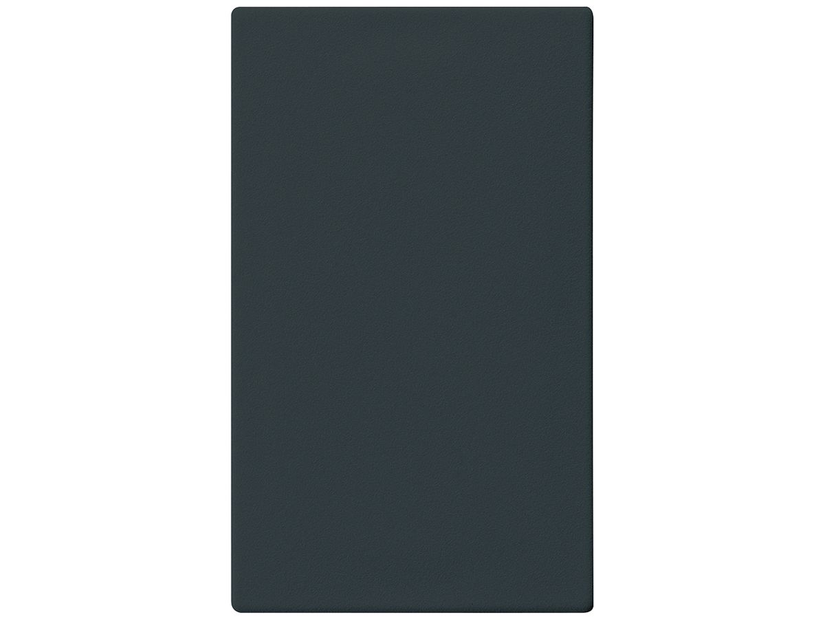 Blindabdeckplatte Hager FLF 3/5 m.Metall-Federn für Kunststoffausschnitt schwarz