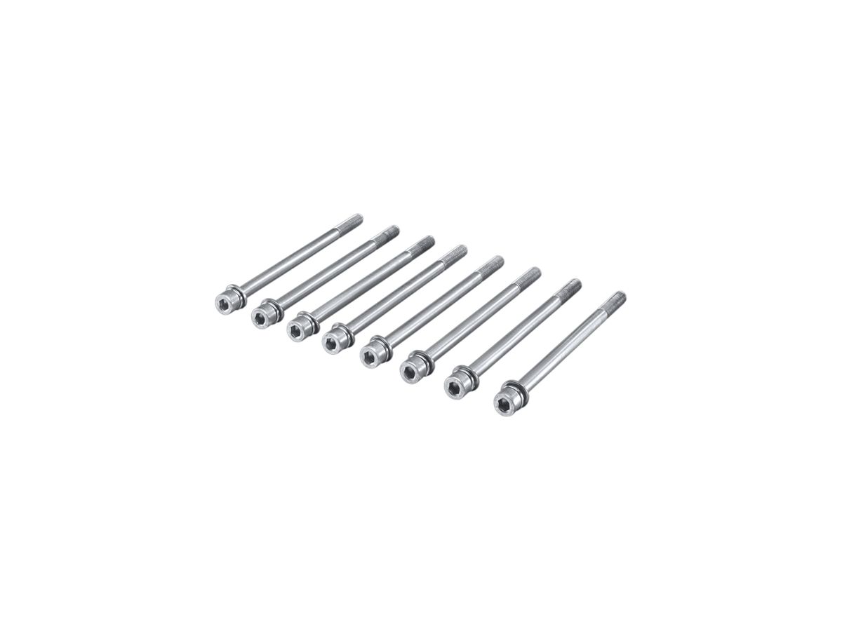 Schraube Rittal SV 9676.811 110mm M10 Innensechskant mit Unterlegscheibe 8Stk