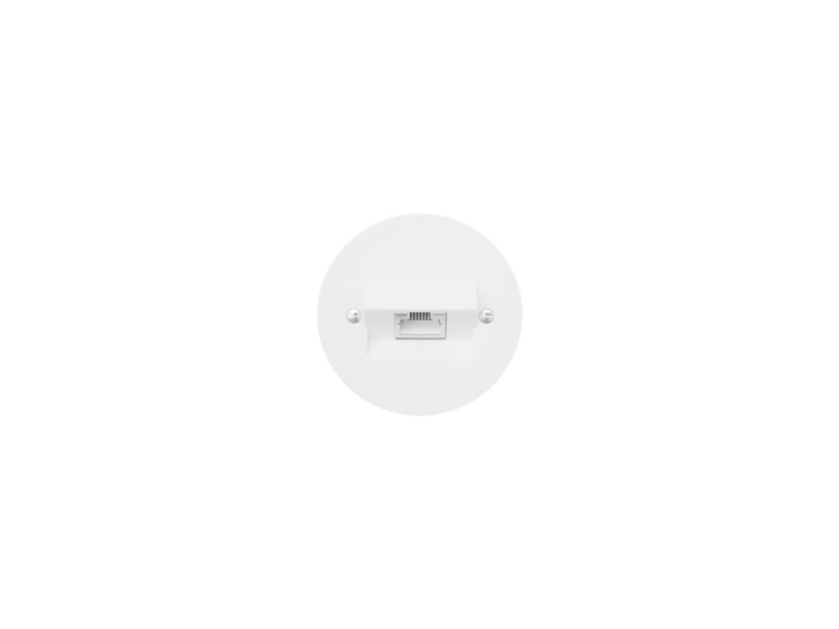 UP-Anschlussdose P 1×RJ45 weiss
