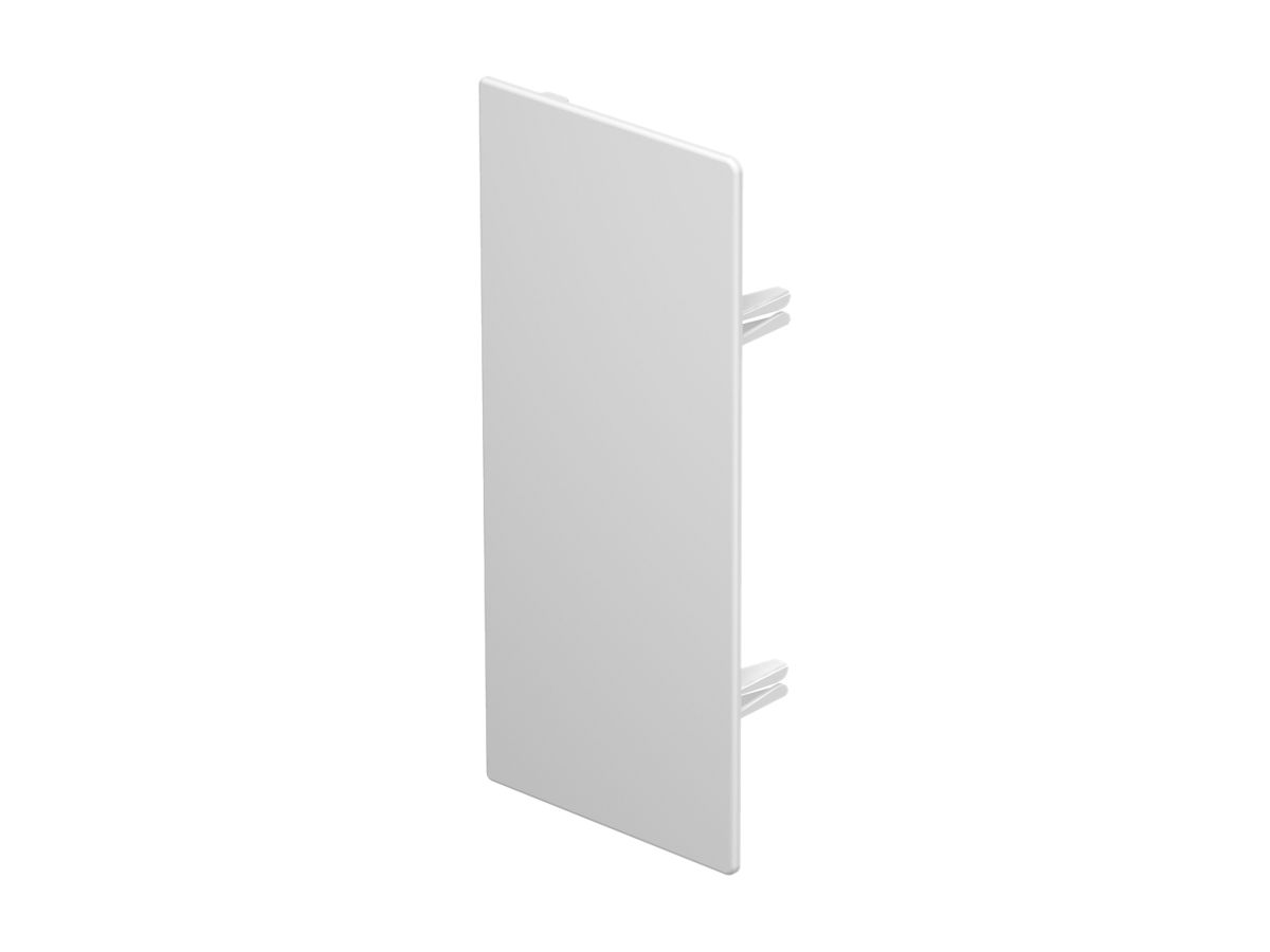 Abschlussplatte Bettermann zu Installationskanal WDK reinweiss 100×230mm