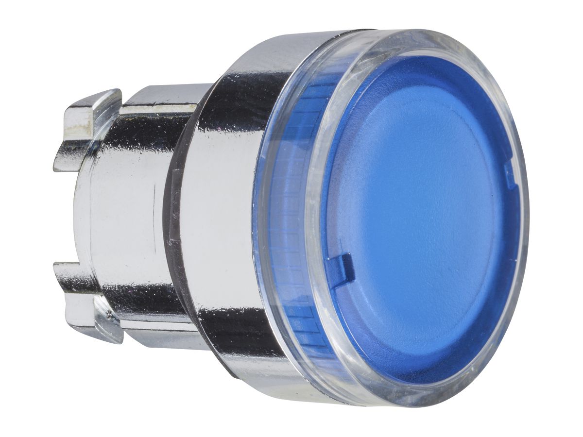 Antriebskopf Schneider Electric für Leuchttaster blau