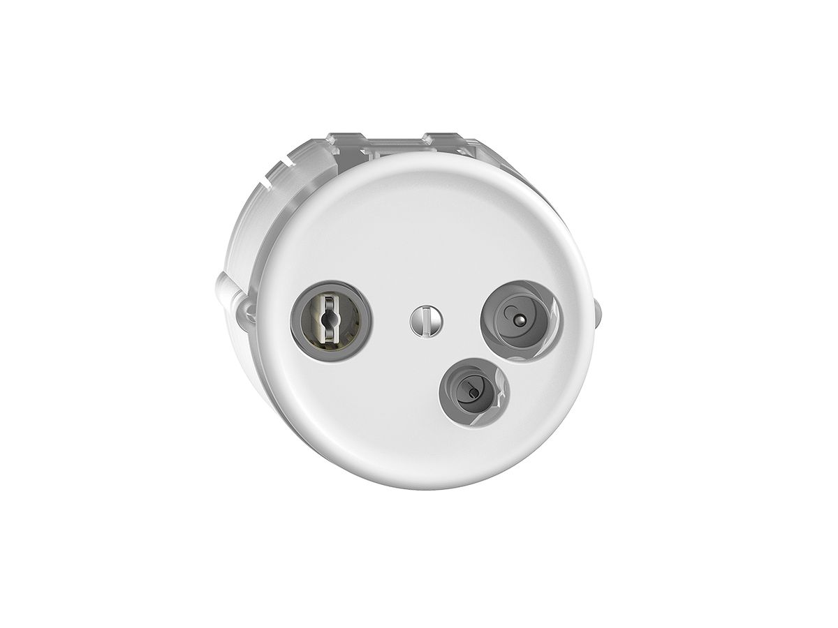 Datendose TV-R DD23 5…65MHz STANDARDdue weiss
