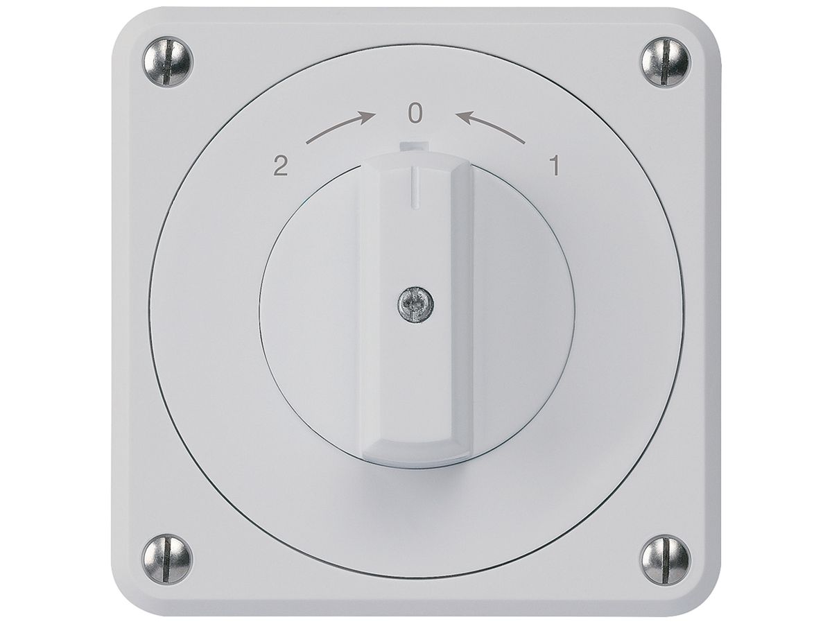 UP-Schwenktaster robusto IP55 grau Wechsler