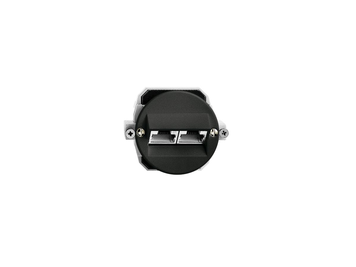 UP-Dose 2×RJ45/s 8P getr.sz ITplus P 43mm