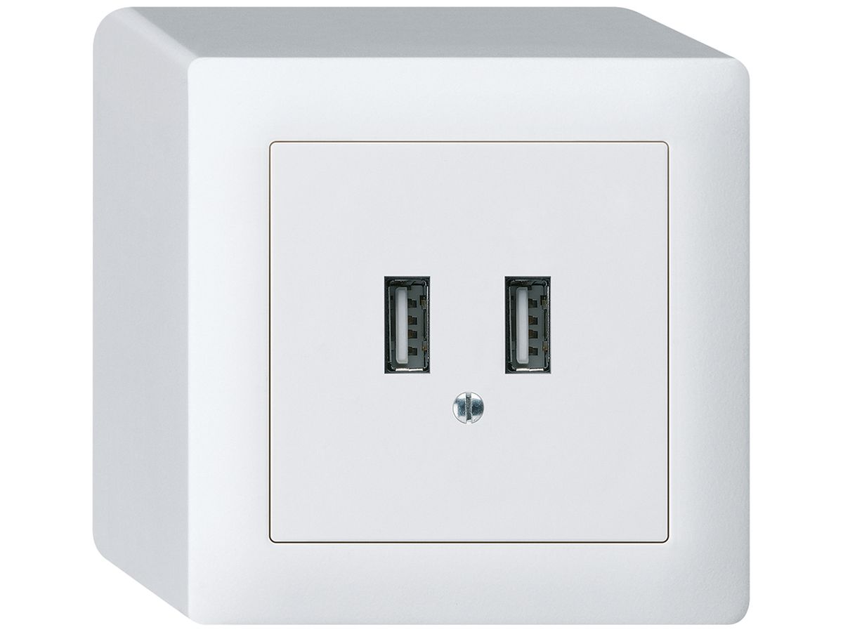 AP-USB-Ladesteckdose Hager kallysto 240V 2400mA weiss