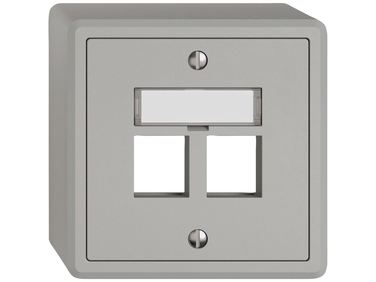 AP-Montageset EDIZIO.liv Keystone SNAPFIX® gerade 2× hgu