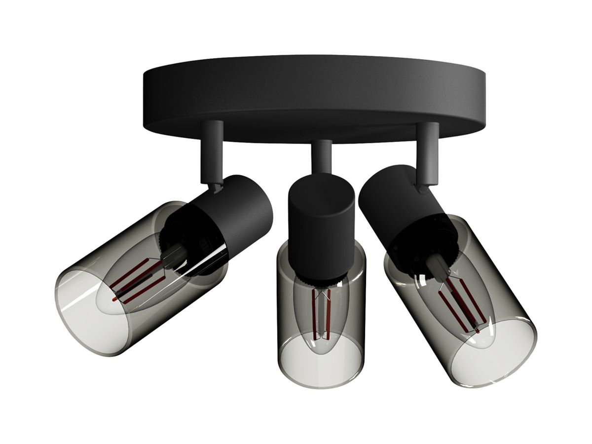 Spot Philips Palms E14 3×25W 245×196mm schwarz