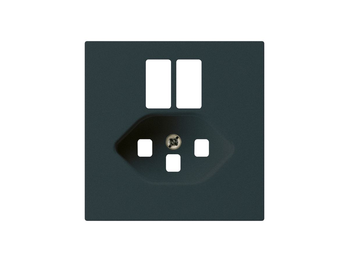 Frontplatte kallysto f.Steckdose 2×USB & T23 schwarz