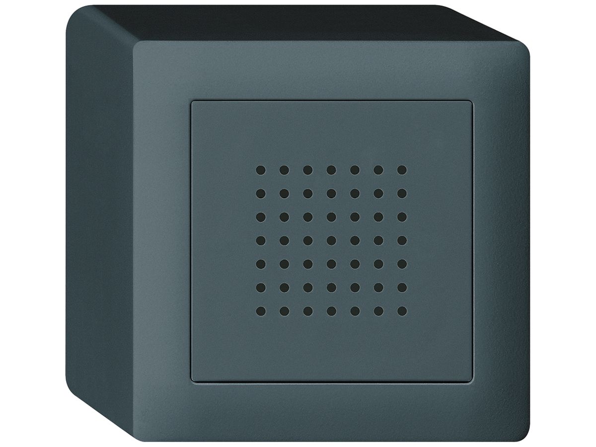 AP-Türgong kallysto 230V anthrazit