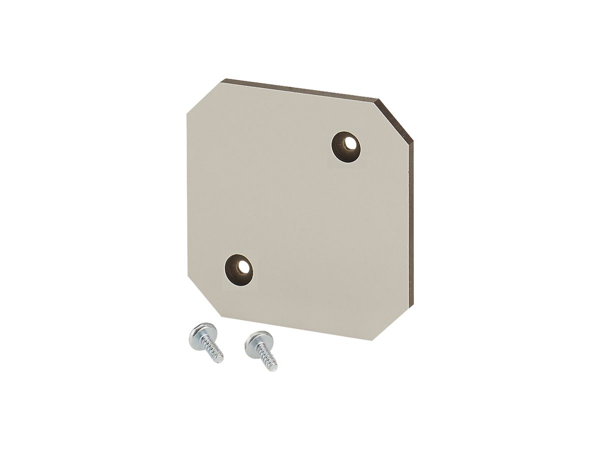 Montageplatte Hensel, Isolierstoff 4mm stark, für Leergehäuse EB 02…