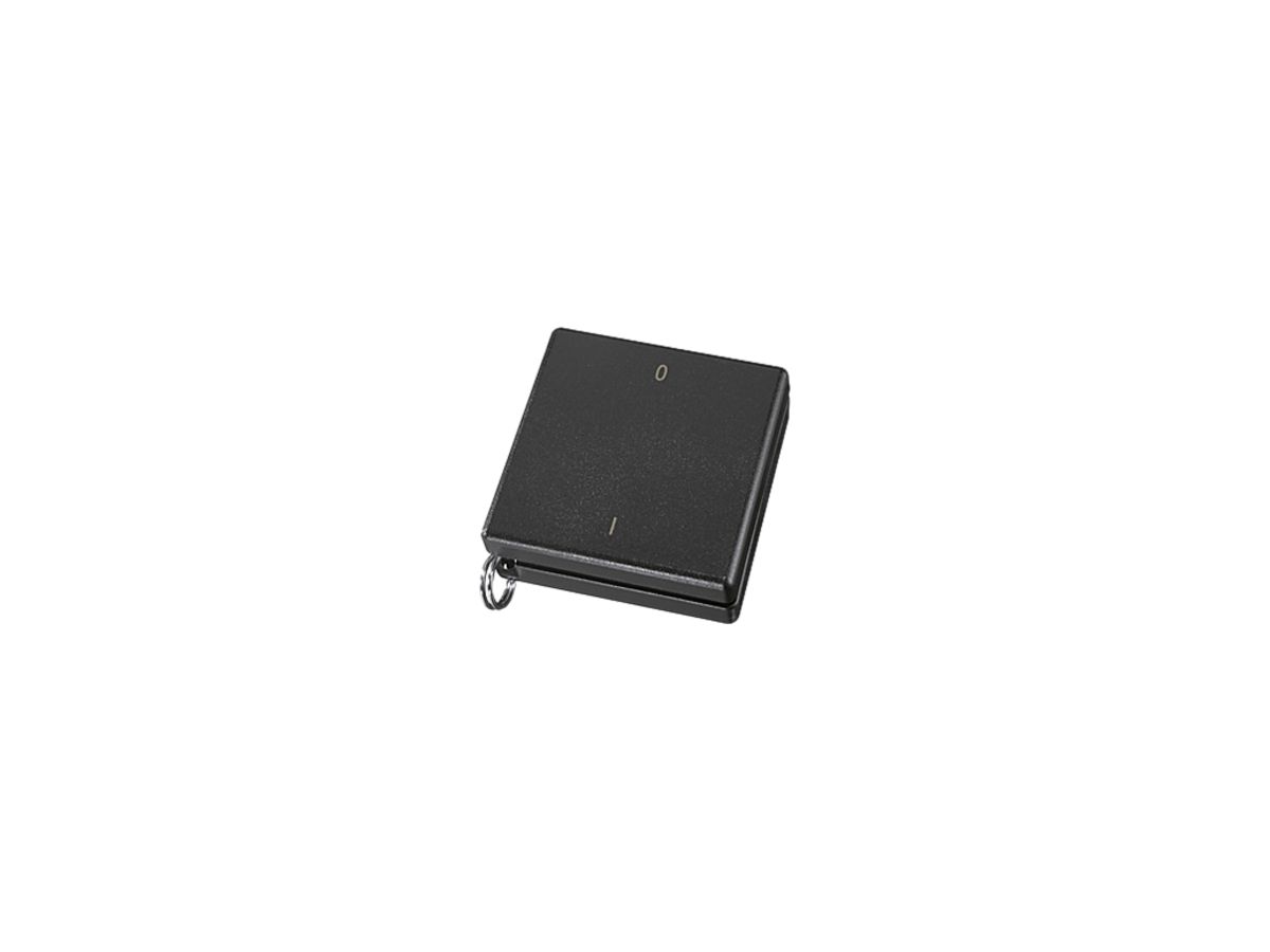 RF-Minihandsender Eltako schwarz 0/1, für Schlüsselring FMH2S