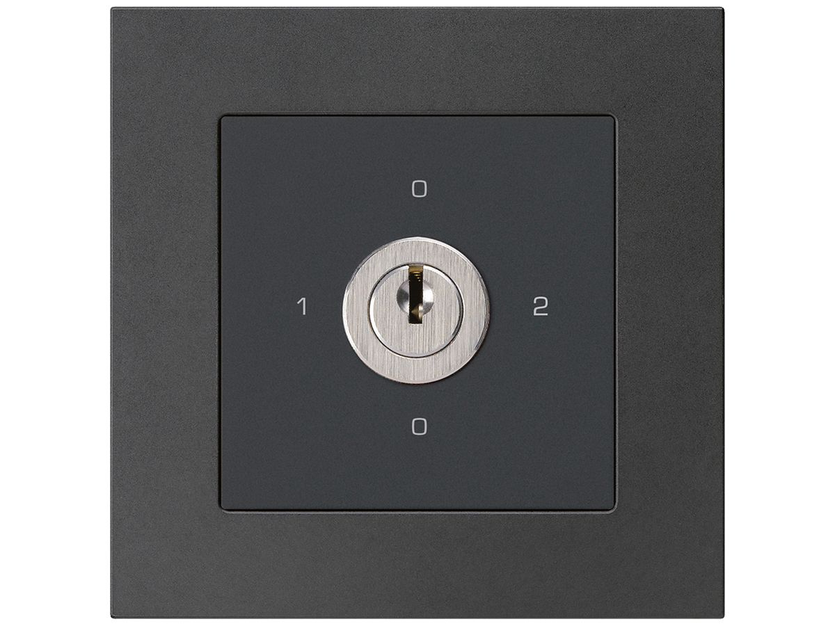 UP-Drehschalter kallysto.pro 2/1L schwarz mit Schloss Kaba 8